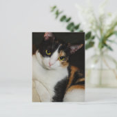 Carte Postale Juste en train de se pendre (Debout devant)