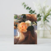 Carte Postale juste joey orange rose (Debout devant)