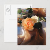Carte Postale juste joey orange rose (Devant / Derrière)