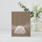 Carte Postale juste les chats qui murmurent (Debout devant)