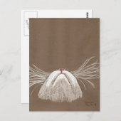 Carte Postale juste les chats qui murmurent (Devant / Derrière)