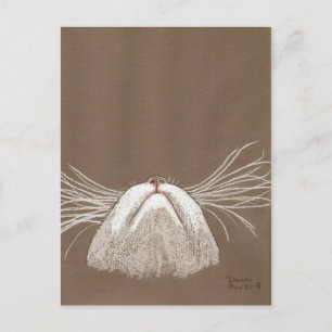 Carte Postale juste les chats qui murmurent