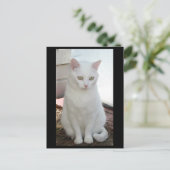 Carte Postale Juste Missy (Debout devant)