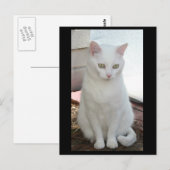 Carte Postale Juste Missy (Devant / Derrière)
