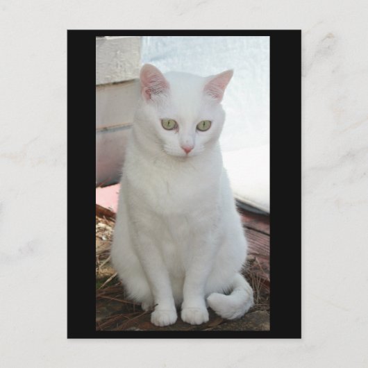 Carte Postale Juste Missy (Devant)
