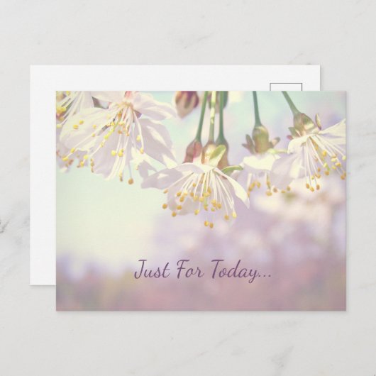 Carte Postale Juste pour aujourd'hui... (Devant / Derrière)