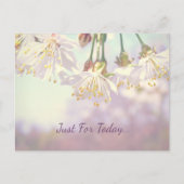 Carte Postale Juste pour aujourd'hui... (Devant)