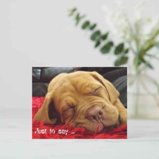 Carte Postale Juste pour dire... (Debout devant)