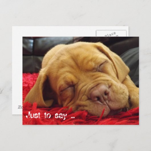 Carte Postale Juste pour dire... (Devant / Derrière)