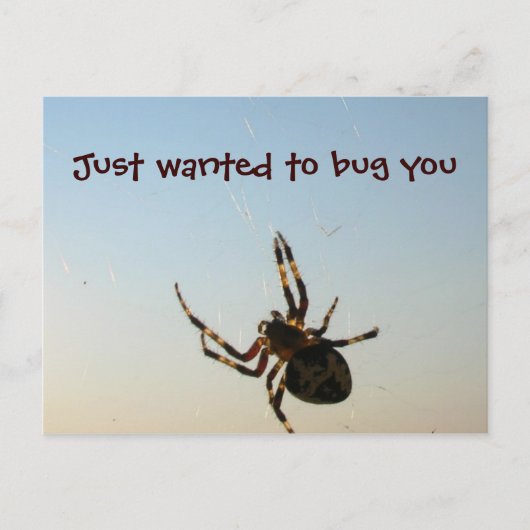 Carte Postale Juste pour vous embêter (Devant)