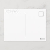 Carte Postale Juste pour vous - Roses papier (Dos)