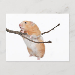 Carte Postale juste rester