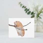 Carte Postale juste rester (Debout devant)