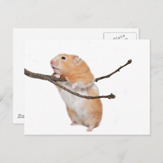 Carte Postale juste rester (Devant / Derrière)