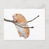 Carte Postale juste rester (Devant)