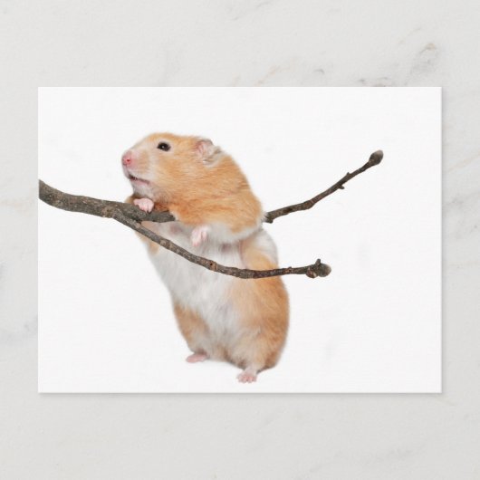 Carte Postale juste rester (Devant)