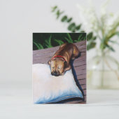 Carte Postale Juste un coin, ça va ! (Debout devant)