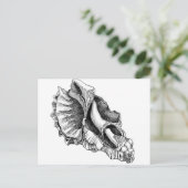 Carte Postale Juste un coquillage cassé (Debout devant)