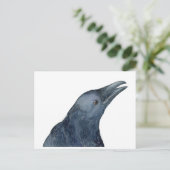 Carte Postale Juste un croassement amical (Debout devant)