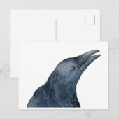 Carte Postale Juste un croassement amical (Devant / Derrière)
