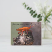 Carte Postale Juste un petit mot pour dire bonjour ! (Debout devant)