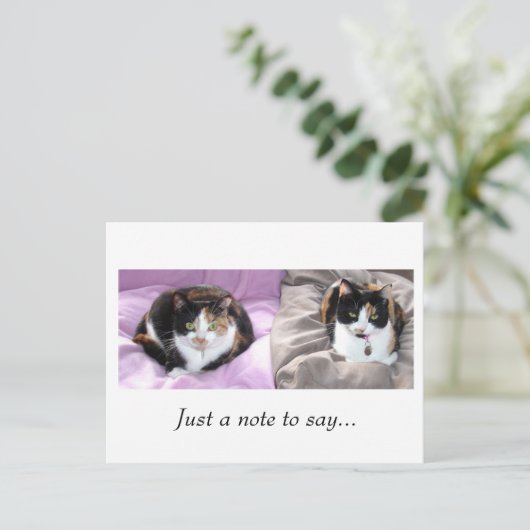 Carte Postale Juste une note à dire... (Debout devant)