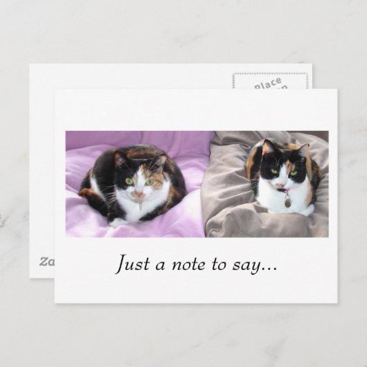 Carte Postale Juste une note à dire... (Devant / Derrière)