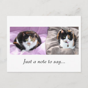 Carte Postale Juste une note à dire...