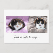 Carte Postale Juste une note à dire... (Devant)