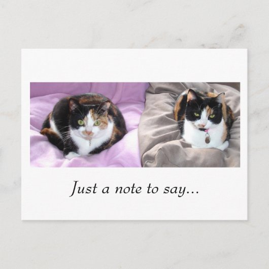 Carte Postale Juste une note à dire... (Devant)