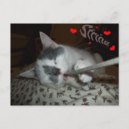 Carte Postale J'UV ma chaîne (Devant)