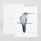 Carte Postale Juvenile Ruby-throated Hummingbird (Devant / Derrière)