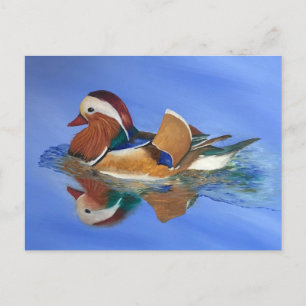 Carte Postale JW de nage de canard