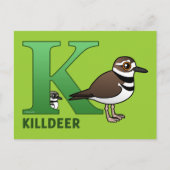 Carte Postale K est pour Killdeer (Devant)
