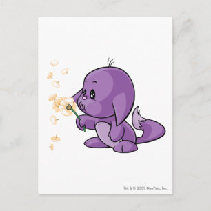 Carte Postale Kacheek Purple