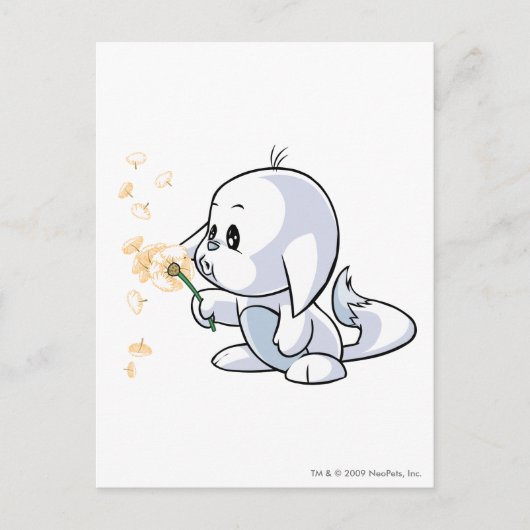 Carte Postale Kacheek White (Devant)