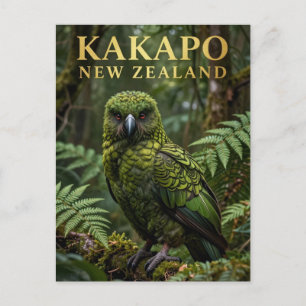 Carte Postale 🦜 Kakapo Oiseau Natif de Nouvelle-Zélande