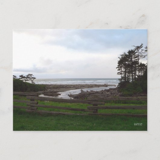Carte postale Kalaloch Lodge (Devant)