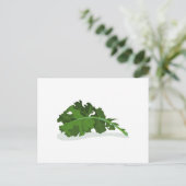 Carte Postale Kale Leaf (Debout devant)