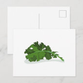 Carte Postale Kale Leaf (Devant / Derrière)