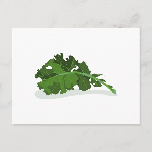 Carte Postale Kale Leaf (Devant)