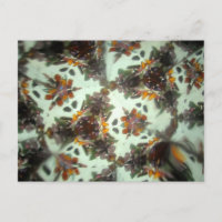 Kaleidescope bijou 27