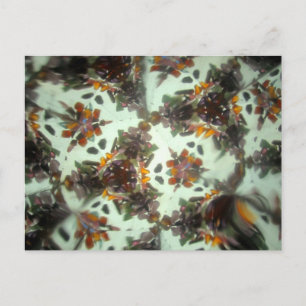 Carte Postale Kaleidescope bijou 27