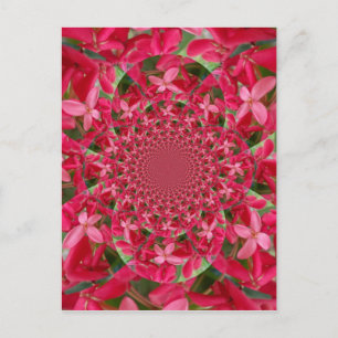 Carte Postale Kaleidoscope de Crimson : Blood Milkweed Flower Ar