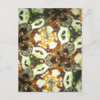 Carte Postale Kaléidoscope incrusté de pierres précieuses 26