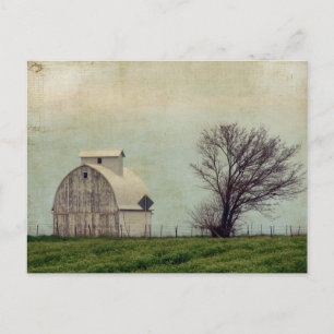 Carte Postale Kalona Iowa Champs et grange avec arbre