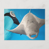 Carte Postale Kanaka (Devant)