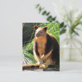 Carte Postale kanga (Debout devant)