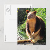 Carte Postale kanga (Devant / Derrière)