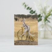 Carte Postale Kangaro Sur Roues (Debout devant)